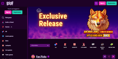 Aperçu du site Booi