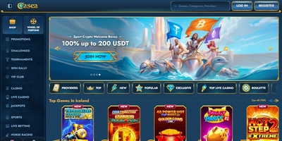 Casea site preview