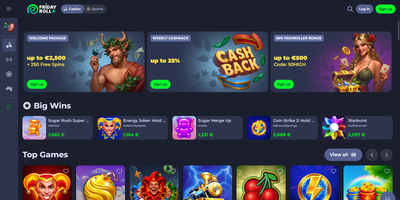 Fridayroll site preview