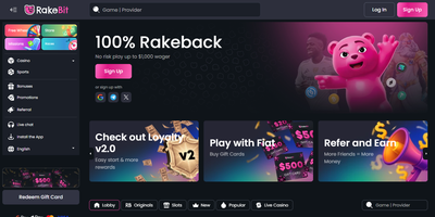 Aperçu du site RakeBit