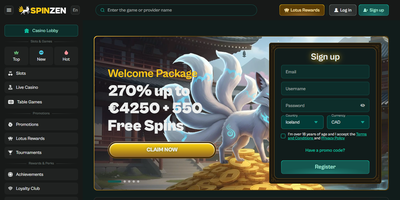 Spinzen site preview